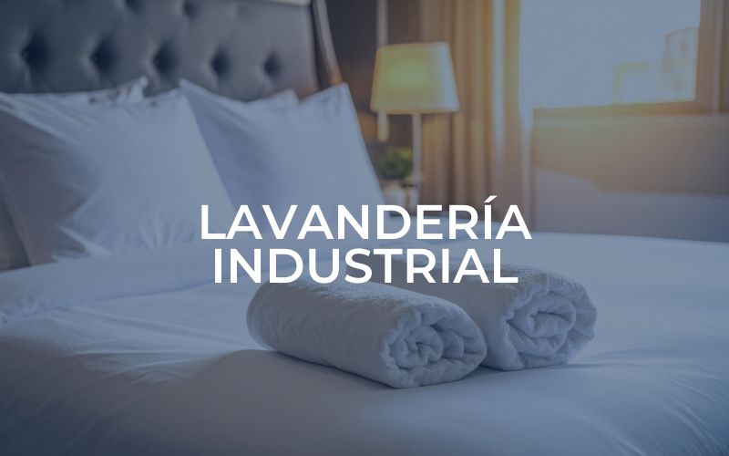 Sector Iavandería industrial Dihex