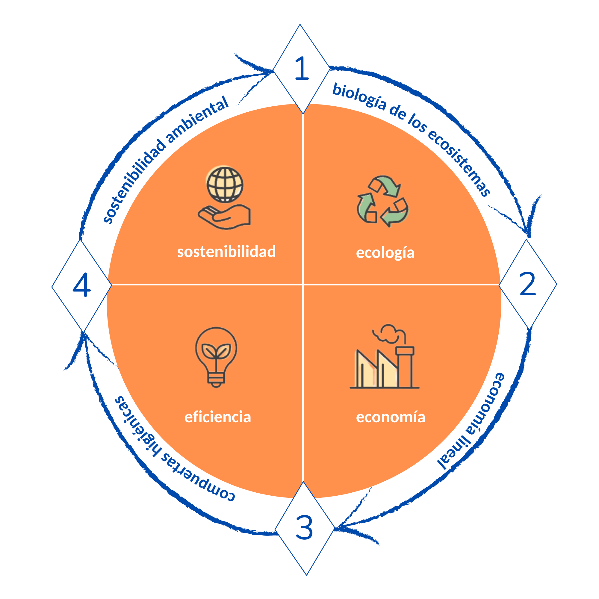 HIGIENE CIRCULAR