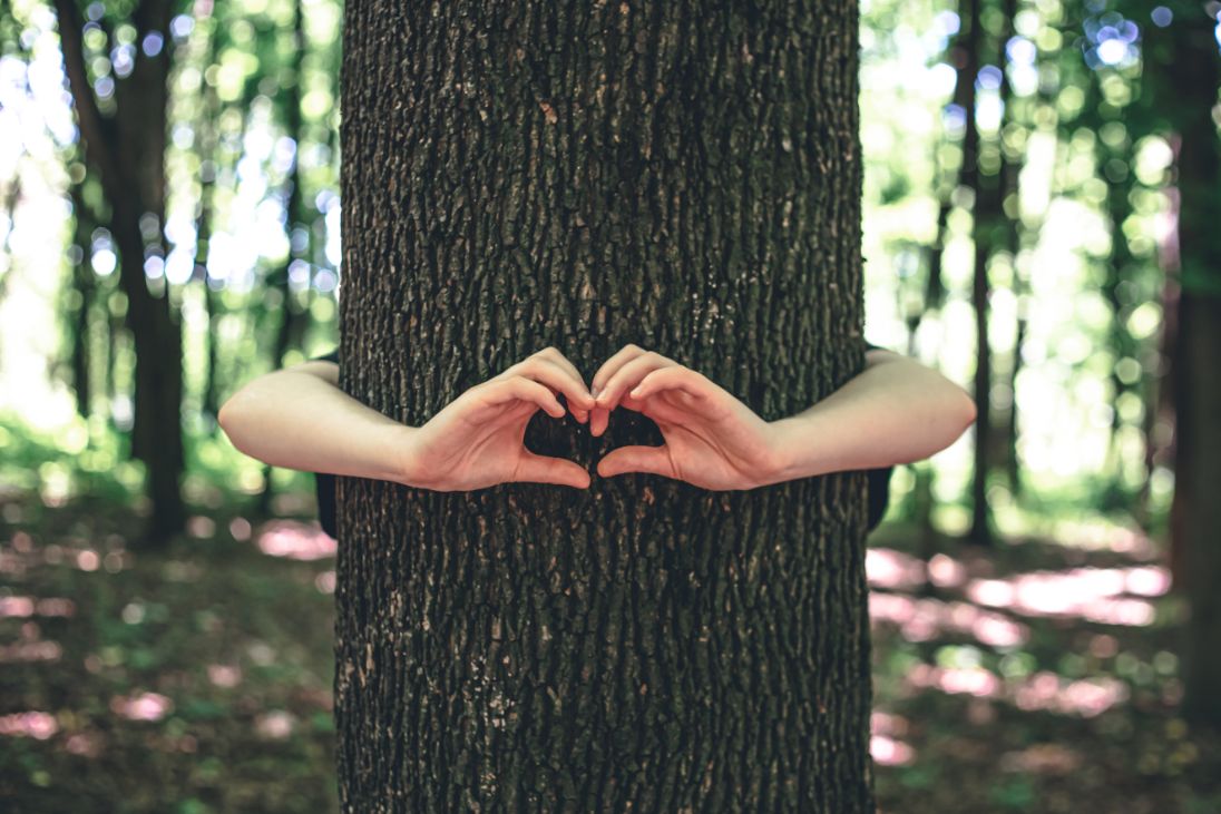 manos mujeres abrazan arbol bosque amor naturaleza 1